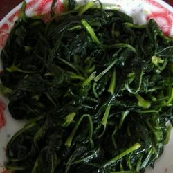 拌野生苦菜的做法[图]