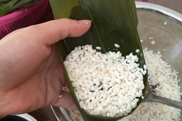 蜜枣粽的做法图解4