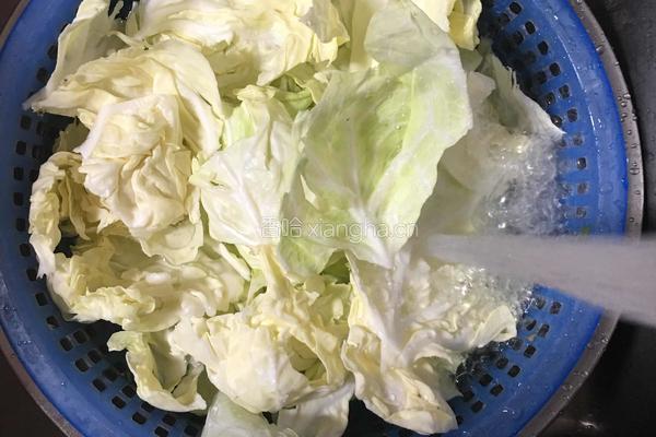 清炒卷心菜的做法图解3