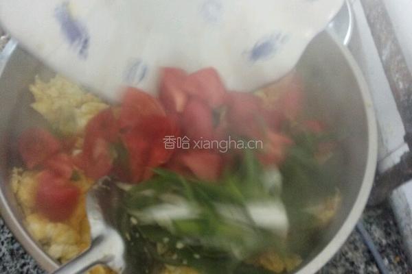 柿子炒鸡蛋的做法图解4