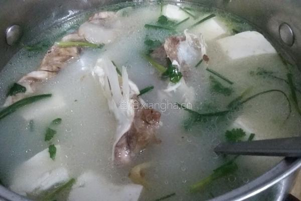 鱼头豆腐汤