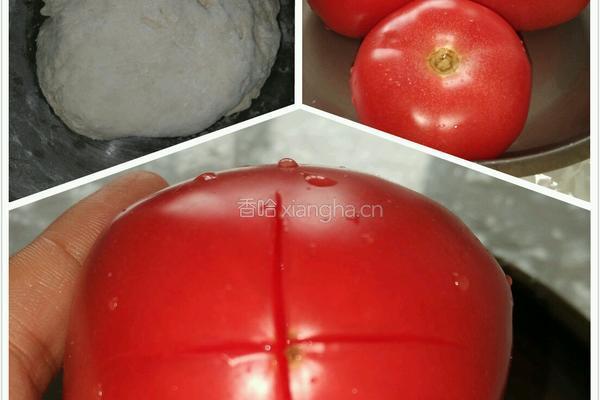 西红柿水饺的做法图解1
