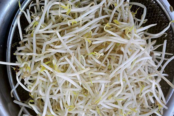 绿豆芽炒火腿的做法图解4