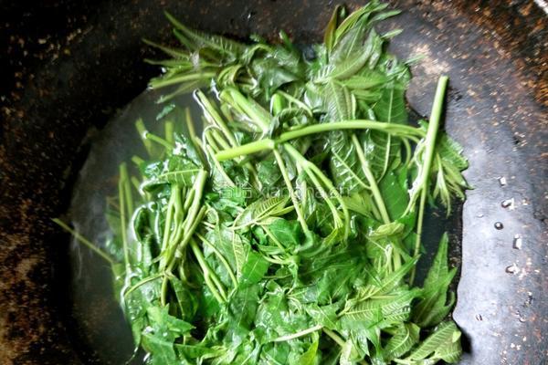 香椿拌蒜薹的做法图解4