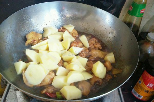 土豆炖鸡块的做法图解9