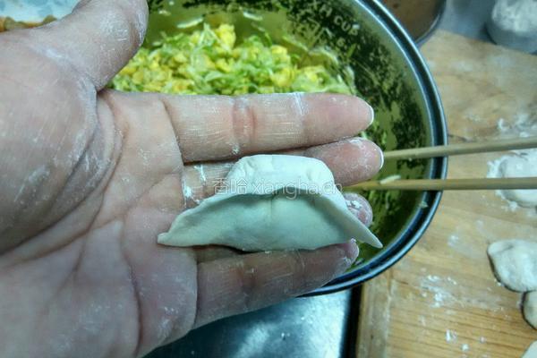 西葫芦鸡蛋饺子的做法图解14