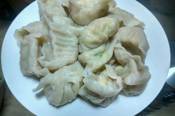 西葫芦鸡蛋饺子的做法图解17