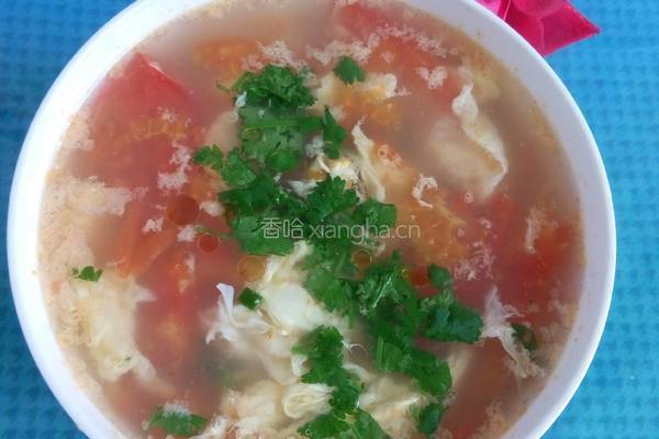 番茄鸡蛋烩煎饼的做法图解12