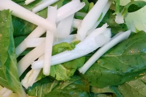 清炒虾皮小白菜的做法图解2
