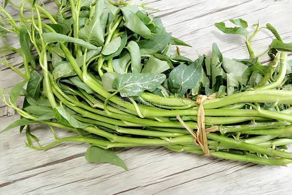 豆豉辣炒空心菜梗的做法图解1