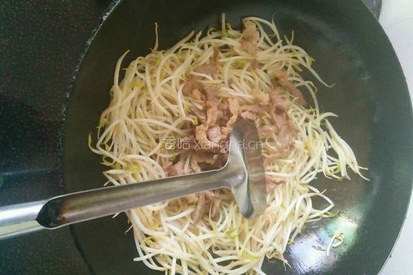 豆芽炒肉的做法图解6
