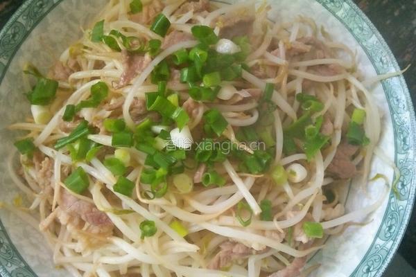 豆芽炒肉的做法图解7