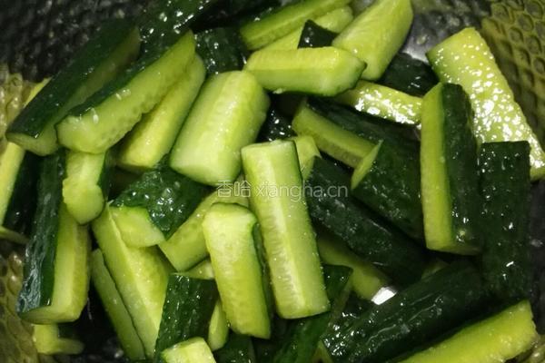 黄瓜咸菜的做法图解4