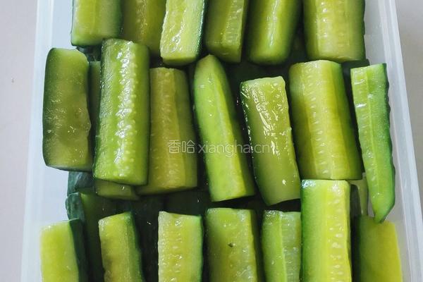 黄瓜咸菜的做法图解16
