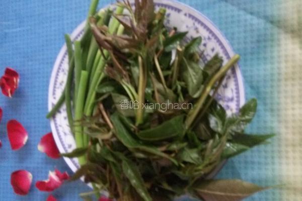 凉拌香椿芽的做法图解1