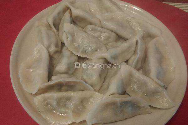 茴香饺子的做法图解9
