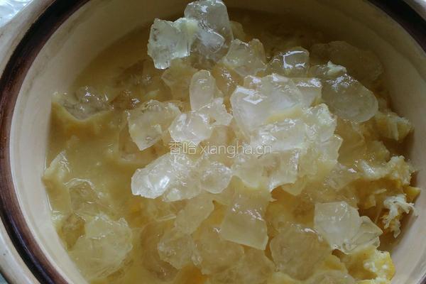 止咳圣品密炼枇杷膏的做法图解5
