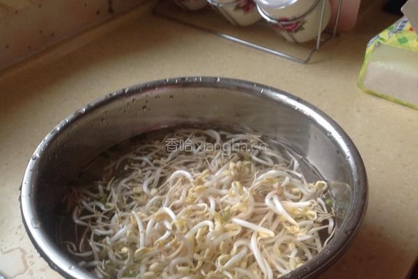 炒豆芽菜的做法图解1