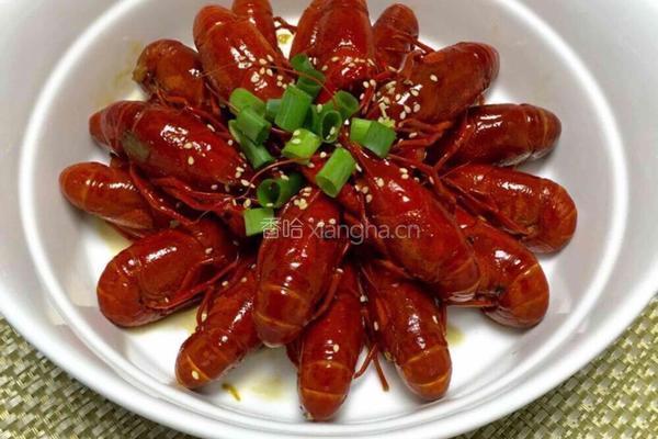 啤酒龙虾的做法图解12