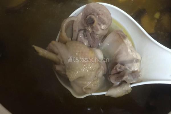 麻油鸡的做法图解9