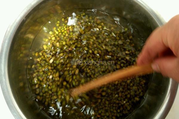 自制绿豆芽的做法图解3