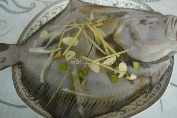 蚝汁蒸多宝鱼的做法图解4