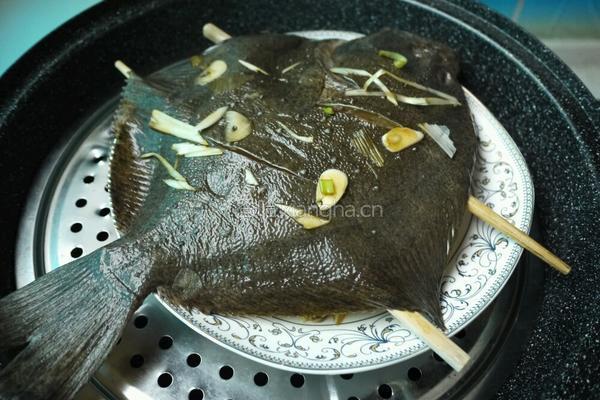 蚝汁蒸多宝鱼的做法图解5
