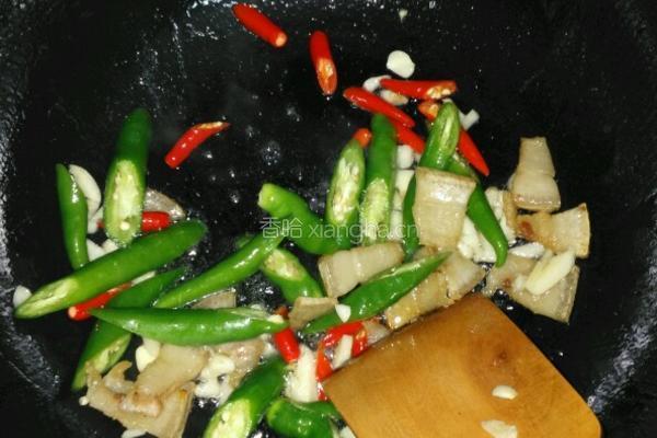 家常辣椒炒肉的做法图解4