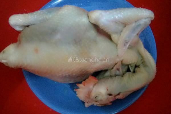 珍珠菇豉油鸡的做法图解1