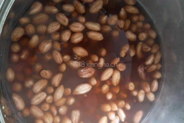水煮花生米的做法图解2