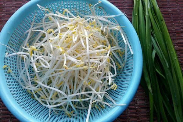 韭菜炒豆芽的做法图解1