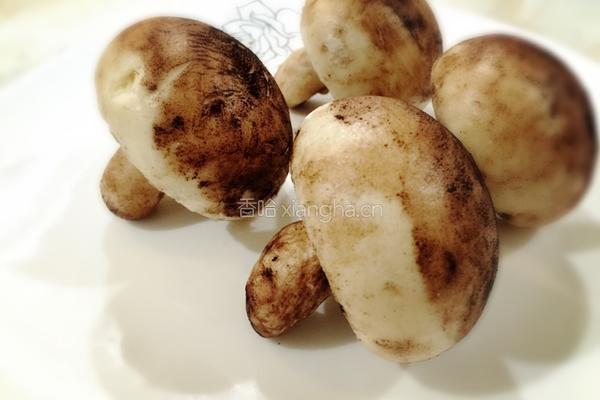 菌菇馒头的做法图解8