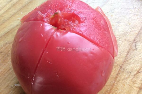 西红柿炒茄子的做法图解3