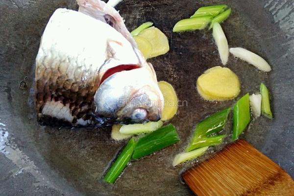 鲫鱼头豆腐汤的做法图解4