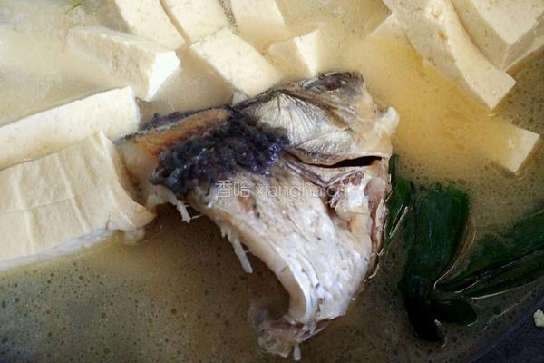 鲫鱼头豆腐汤的做法图解7