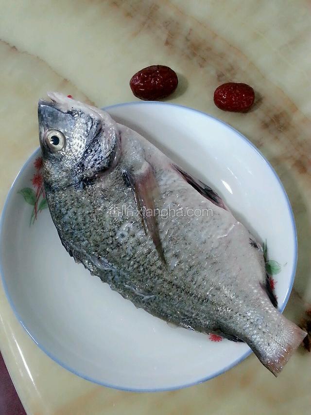 海鲫鱼开膛淘洗干净，剪去鱼背上的鱼刺，鱼身斜切两刀。