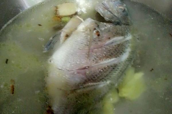 清炖鱼的做法图解5