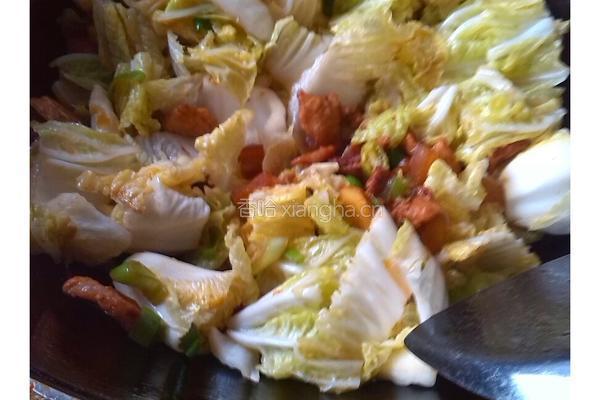 白菜炖粉条的做法图解7