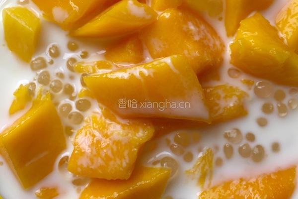 金芒鲜奶西米露的做法图解12