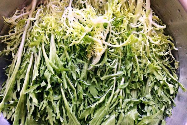 凉拌苦菊菜的做法图解1