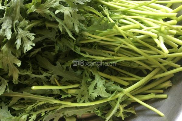 蒜茸茼蒿的做法图解1