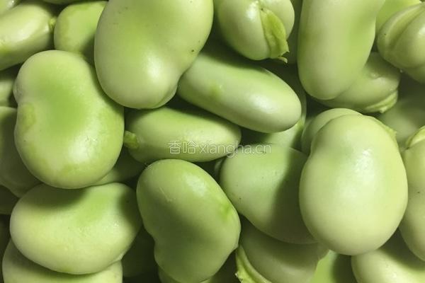葱油蚕豆的做法图解2