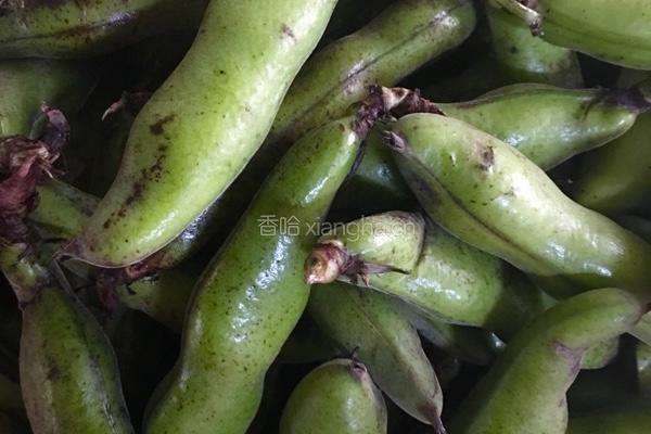葱油蚕豆的做法图解1