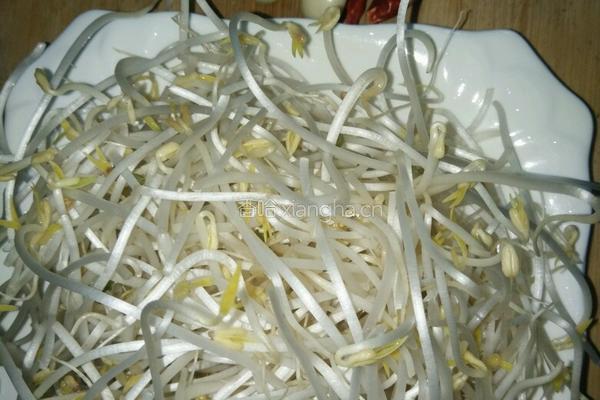 炒绿豆芽的做法图解1