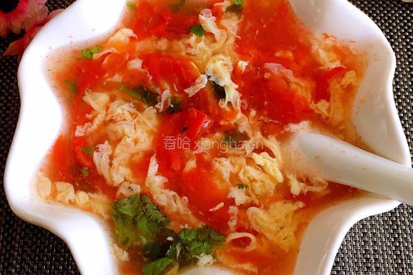 番茄鸡蛋汤的做法图解9