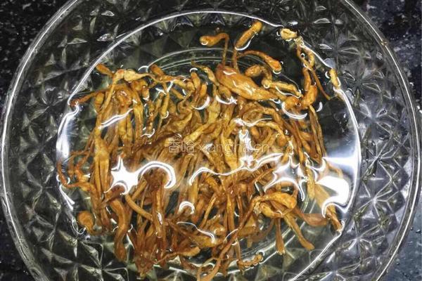 无花果虫草花炖排骨汤的做法图解3