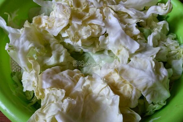 干煸手撕包菜的做法图解1