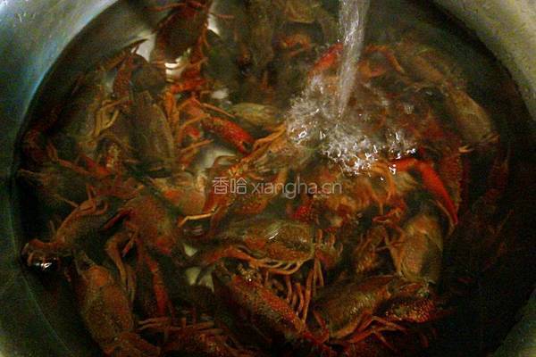 吮指回味十三香啤酒小龙虾的做法图解6