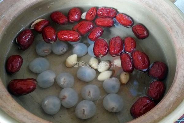 红枣桂圆补血汤的做法图解7