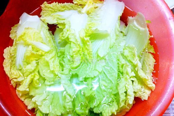素炒白菜的做法图解2